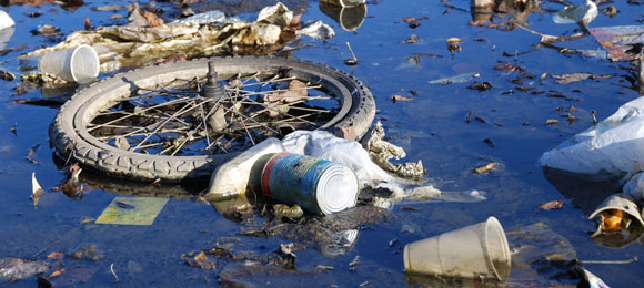 bike tire and trash illegally dumped in pond