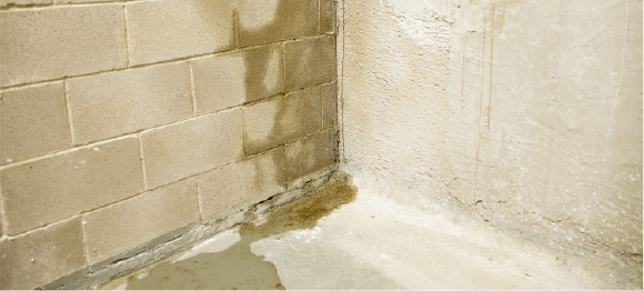 water seeping through basement wall
