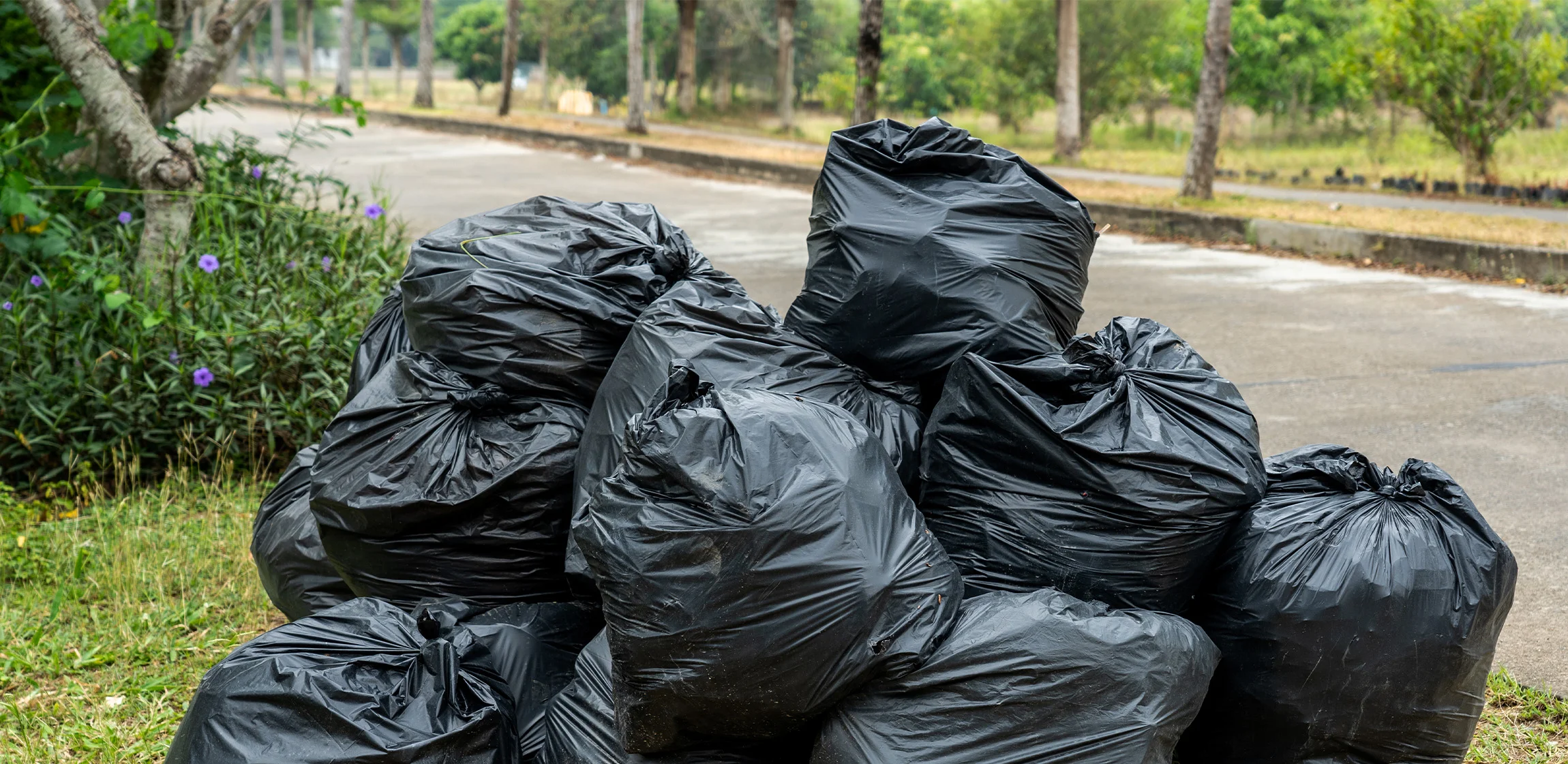 Find trash removal companies near you hometown