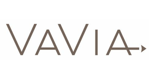 VaVia Dumpster Rental logo