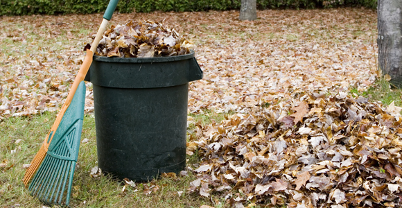 Raking and disposing of fall leaves