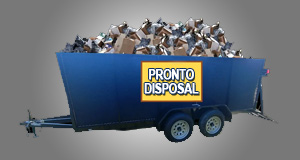 Pronto Disposal logo
