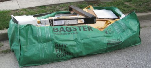 Bagster sitting by curb