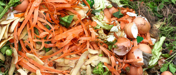 Fruit and vegetable scraps for compost
