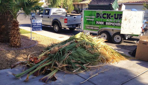 junk removal for yard debris pickup