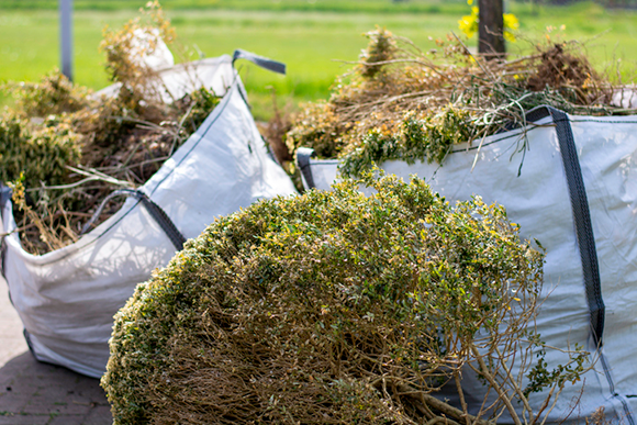 Use a dumpster to get rid of yard waste