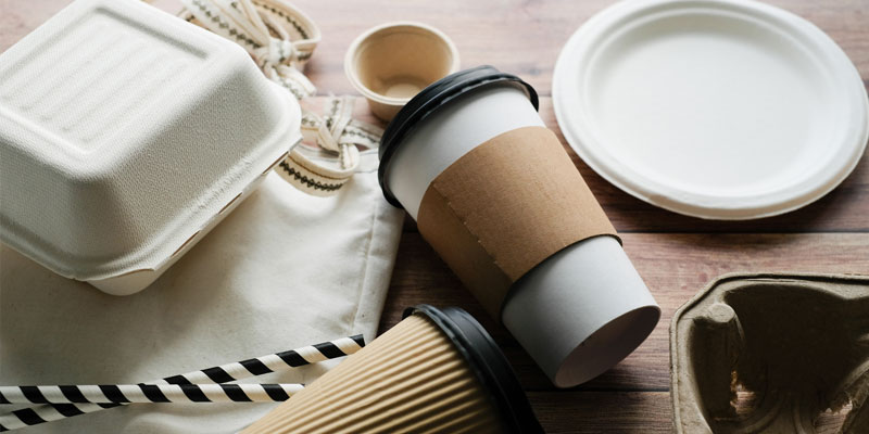 Paper cup, paper straws, paper plate, and other biodegradable to go containers