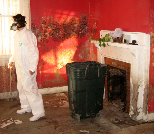 Mold remediation on interior wall of home