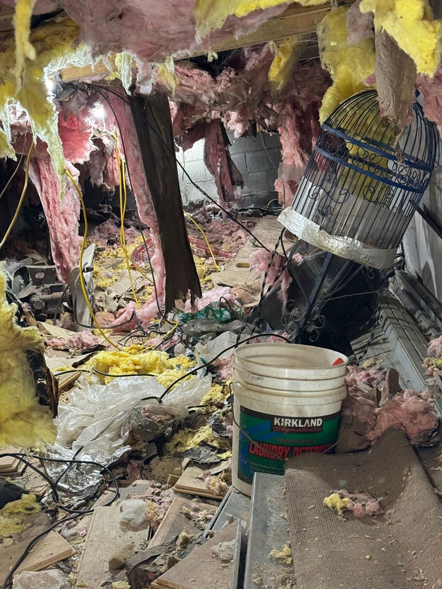 Oliver's Removal Service photo