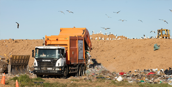 Rent a dumpster from a local company to dispose of unwanted junk