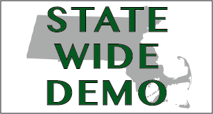 State Wide Demo logo