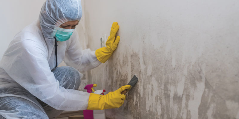 person wearing protective gear cleaning mold off interior wall