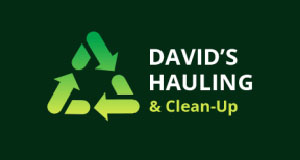 David’s Hauling & Clean-Up logo