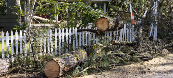 fence damage from fallen trees from storm