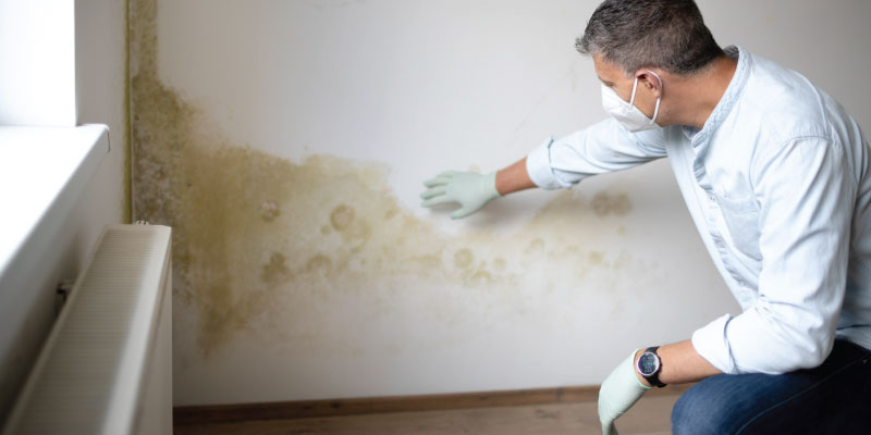 Man with mask and gloves inspecting interior wall covered in mold