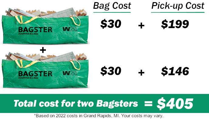 Cost of using two Bagsters infographic