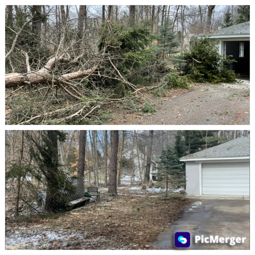 Black Barn Dumpsters, Grand Rapids, MI Hometown Dumpster Rental