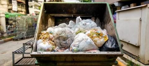 different types of dumpster companies