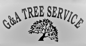 G&A Services logo