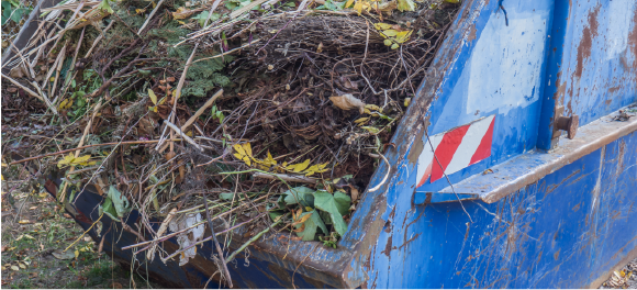 dumpster full of branches and yard waste