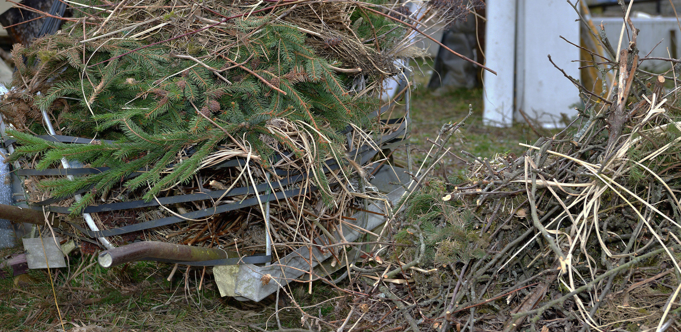 Find Yard Waste Removal Companies Near You Hometown