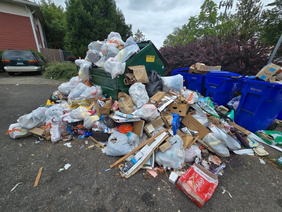 Asap Junk Removal LLC photo