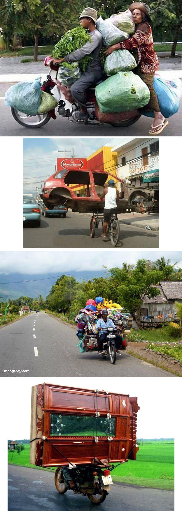 bike trash hauling-funny pic