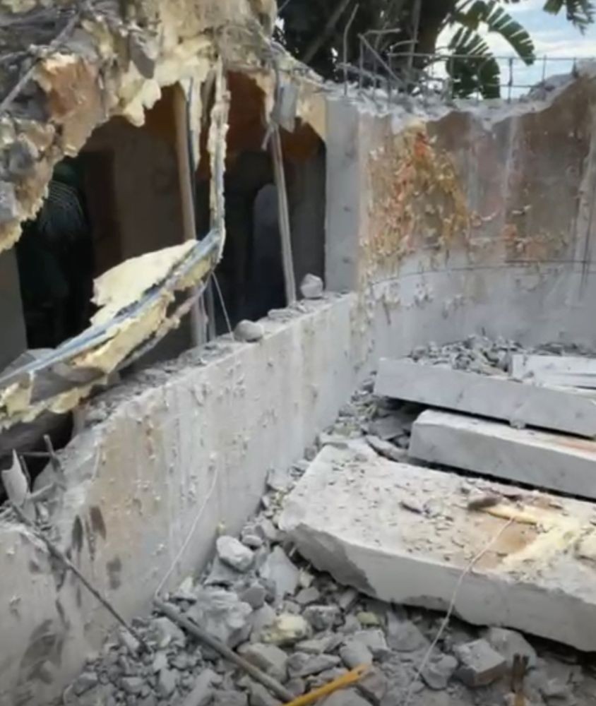 Red Monkey Hauling Services photo