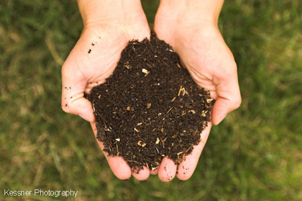 Composting is great for the environment