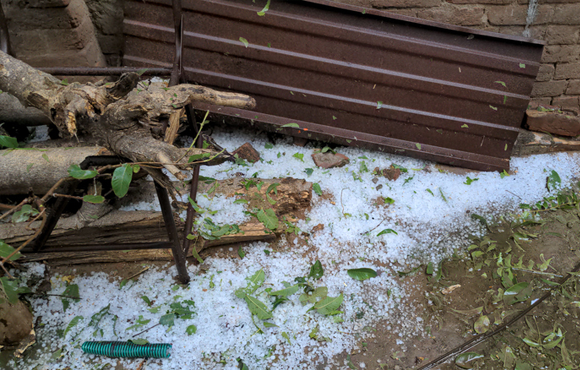 House siding and trees damaged from hail storm
