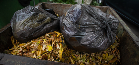 Wet yard waste and trash bags in open top dumpster