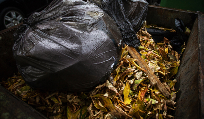 Wet debris inside a dumpster