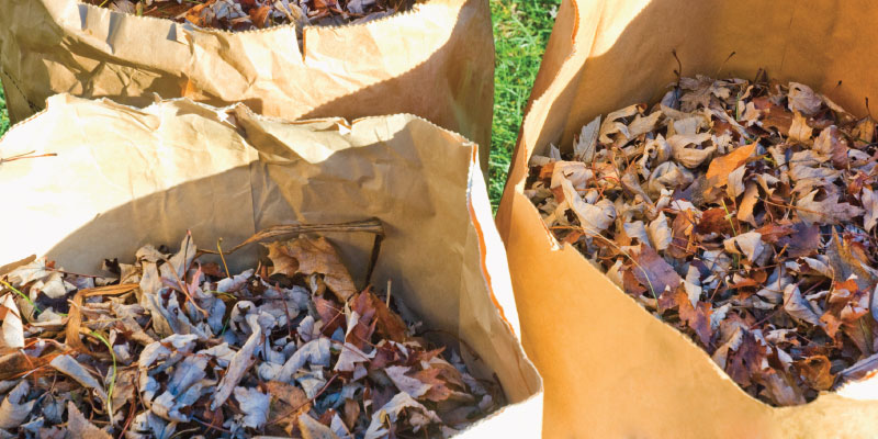 leaves in bags