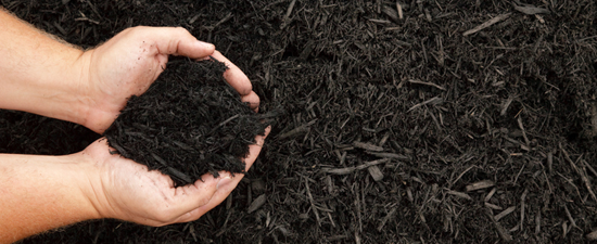 hands holding up compost