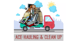 Ace Hauling & Clean Up logo
