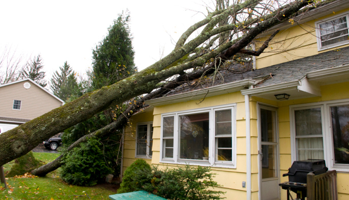 A tree fallen on a house causing damage