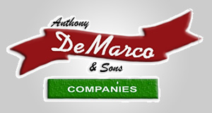 Anthony Demarco and Sons LLC logo