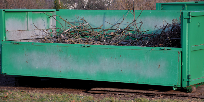 dumpster full of tree limbs and other yard waste