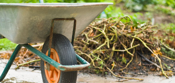 Yard debris disposal