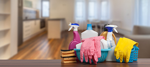 Cleaning supplies displayed in a clean interior room