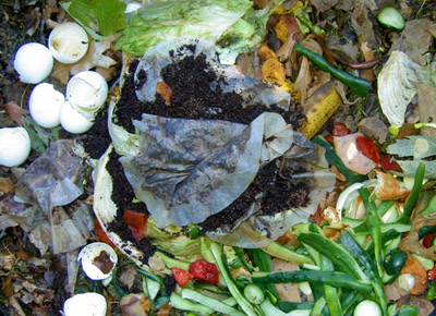 Make sure your compost is aerated