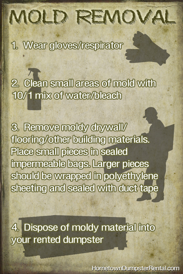 mold removal instructions infographic
